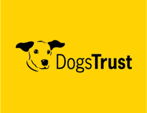 Dog’s Trust non uniform day
